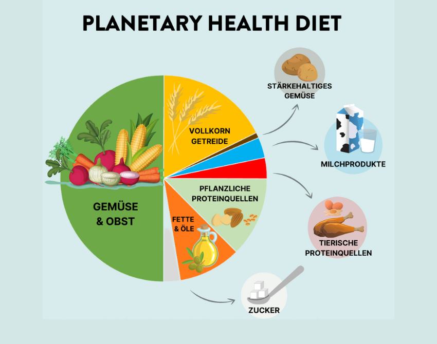 Tortendiagramm mit Anteilen der jeweiligen Lebensmittel für eine gesunde und klimafreundliche Ernährung.