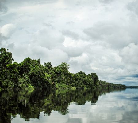 Regenwald, Fluss Rio Negro und bewölkter Himmel