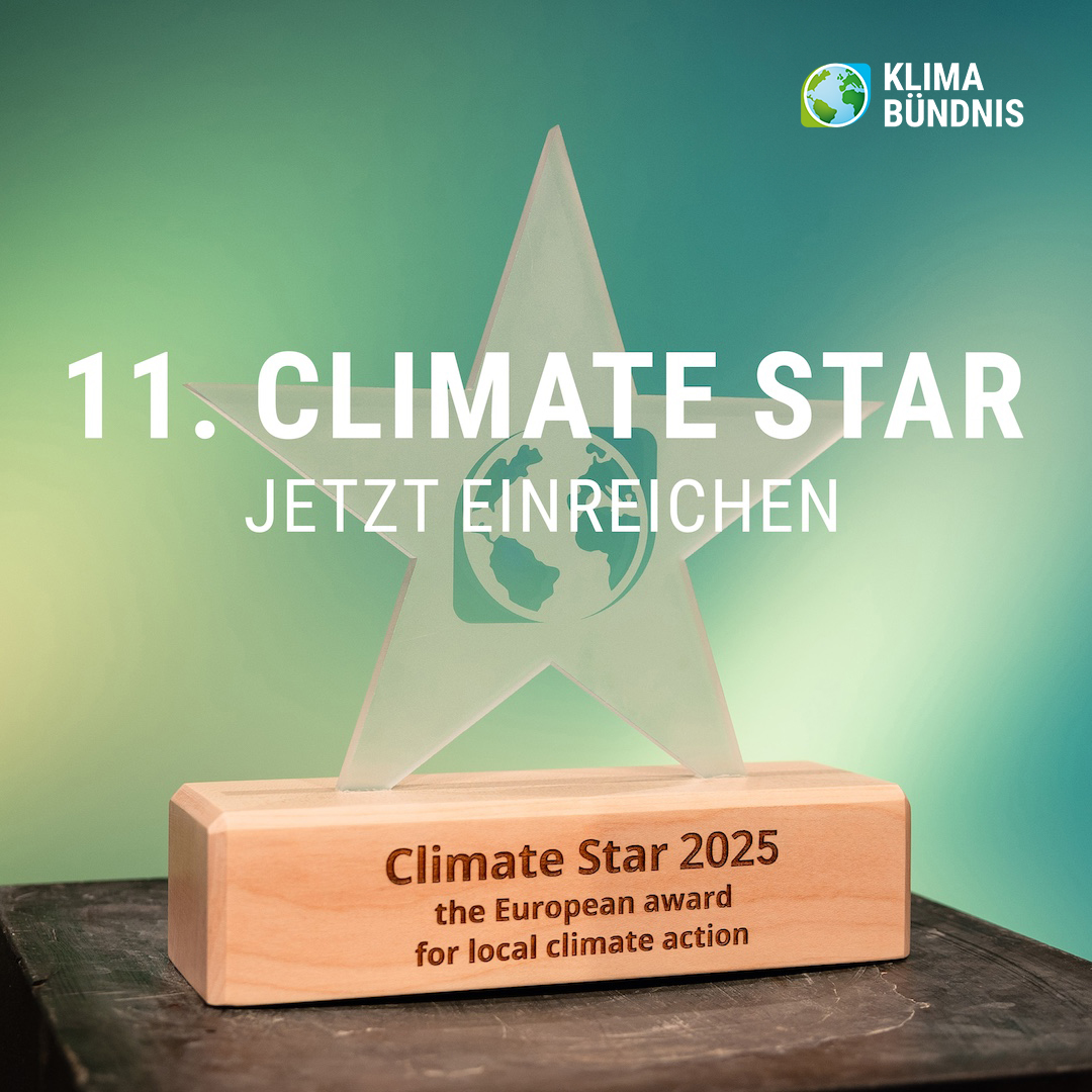 11. Climate Star