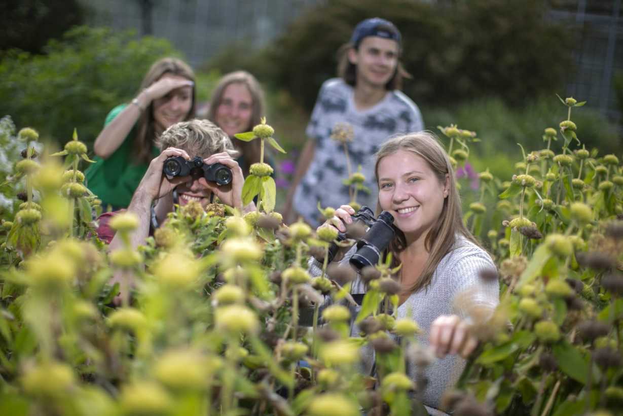 Jugendliche mit Fernglas auf der Weise